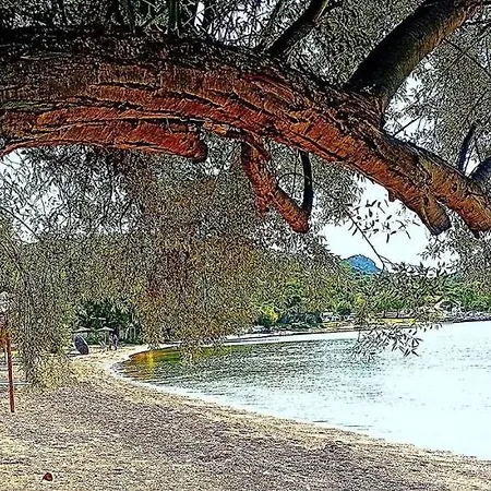 Alexander's Σπίτι διακοπών *