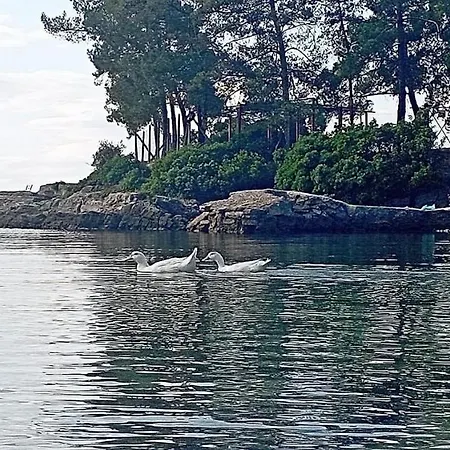 Сasa de vacaciones Alexander's Kritharia (Thessalia)