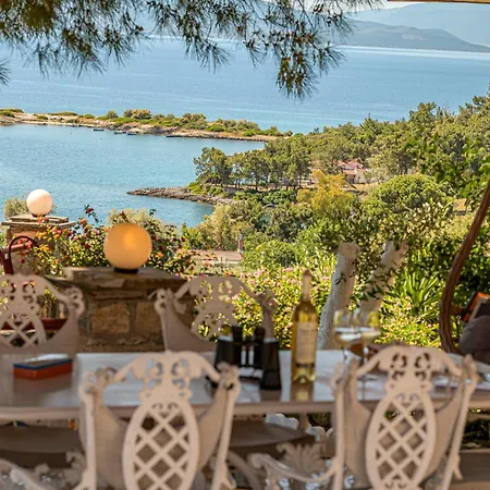 Alexander's Сasa de vacaciones