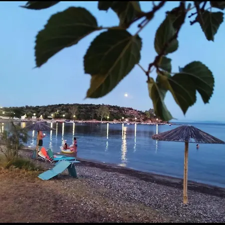 Alexander's Kritharia (Thessalia)