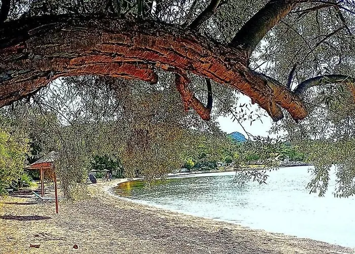 Alexander's Case de vacanță *