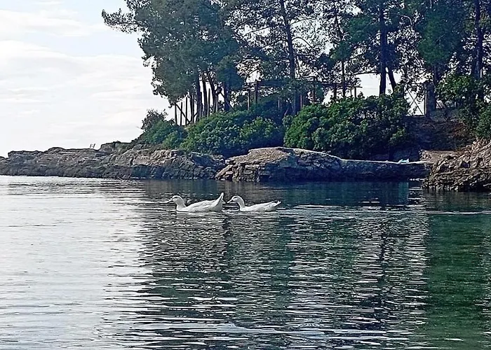 בית נופש Alexander's Kritharia (Thessalia)