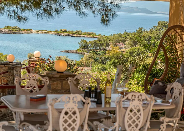 Alexander's Case de vacanță