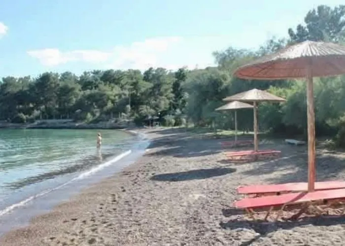 Alexander's Case de vacanță