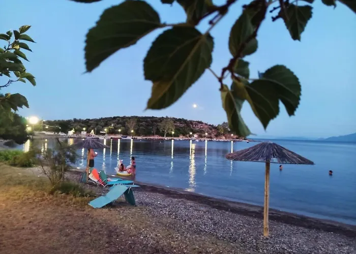 Alexander's Kritharia (Thessalia)