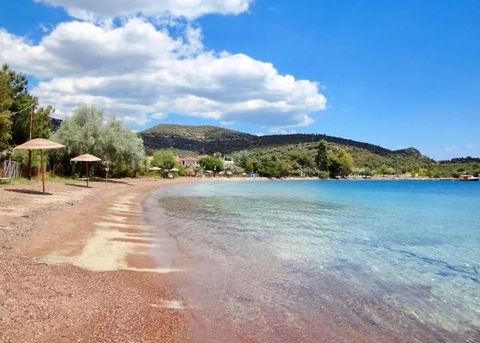 Alexander's Case de vacanță